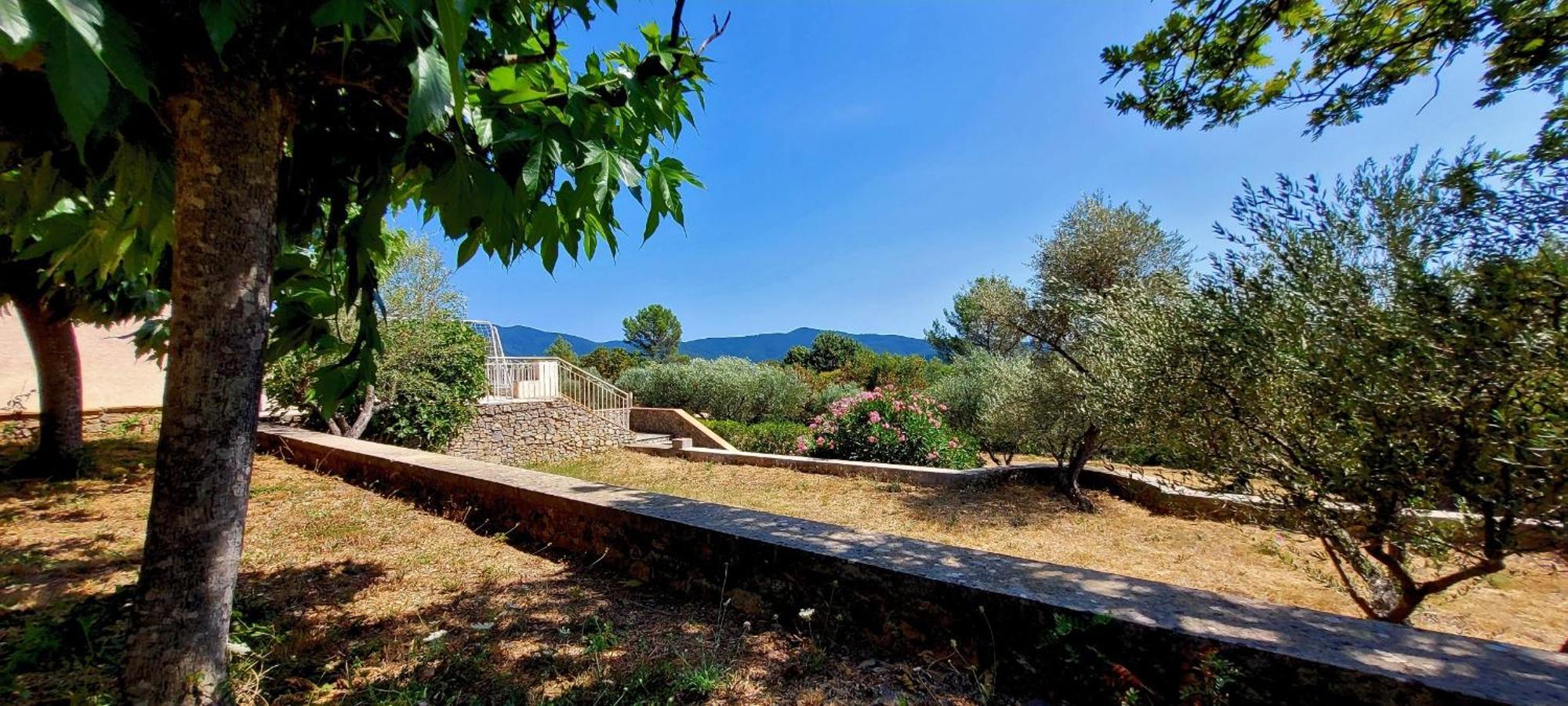 Au Petit Bonheur Villa Carnoules  Eksteriør billede
