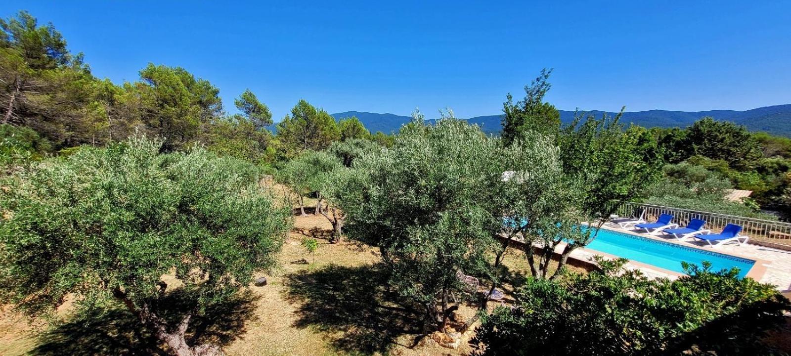 Au Petit Bonheur Villa Carnoules  Eksteriør billede