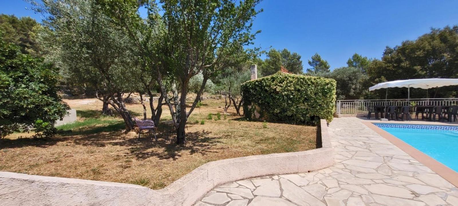 Au Petit Bonheur Villa Carnoules  Eksteriør billede